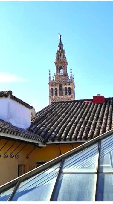 Conteros Centro Séville