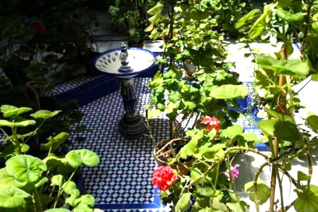 Conteros Centro Apartment Seville